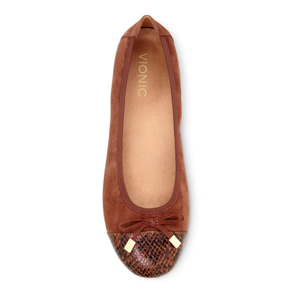 Minna Ballet Flat - Saddle Snake